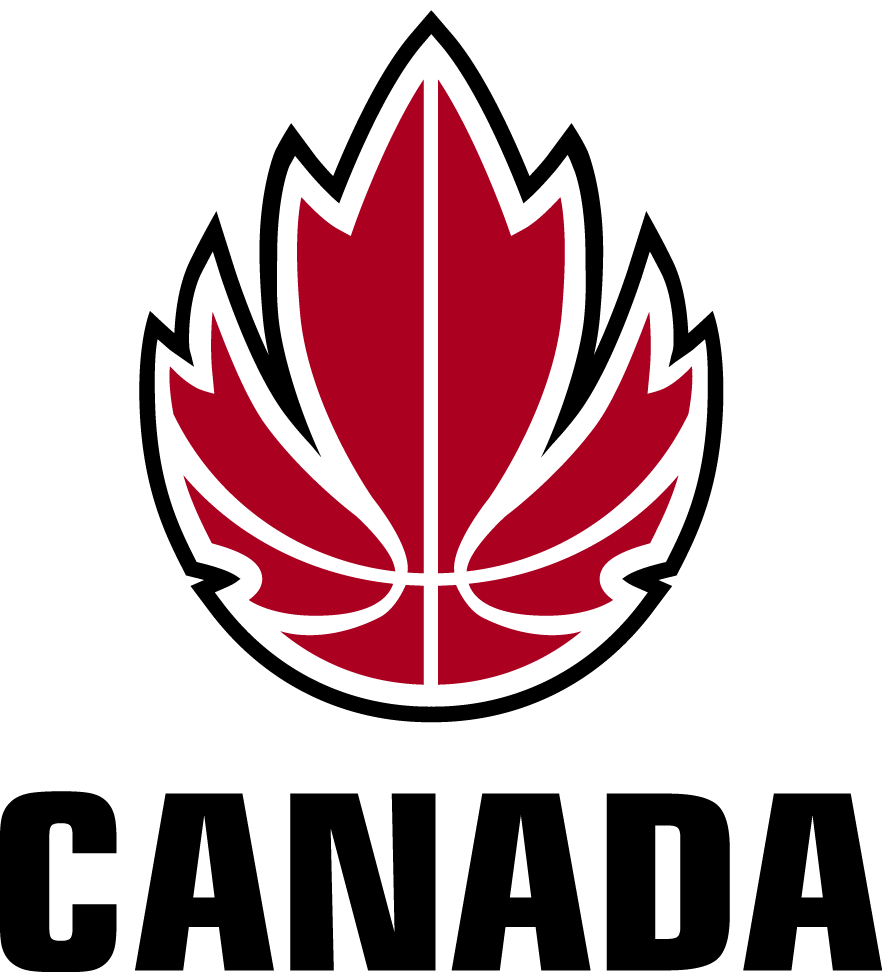 Canada 1999-2012 Primary Logo iron on transfers for clothing